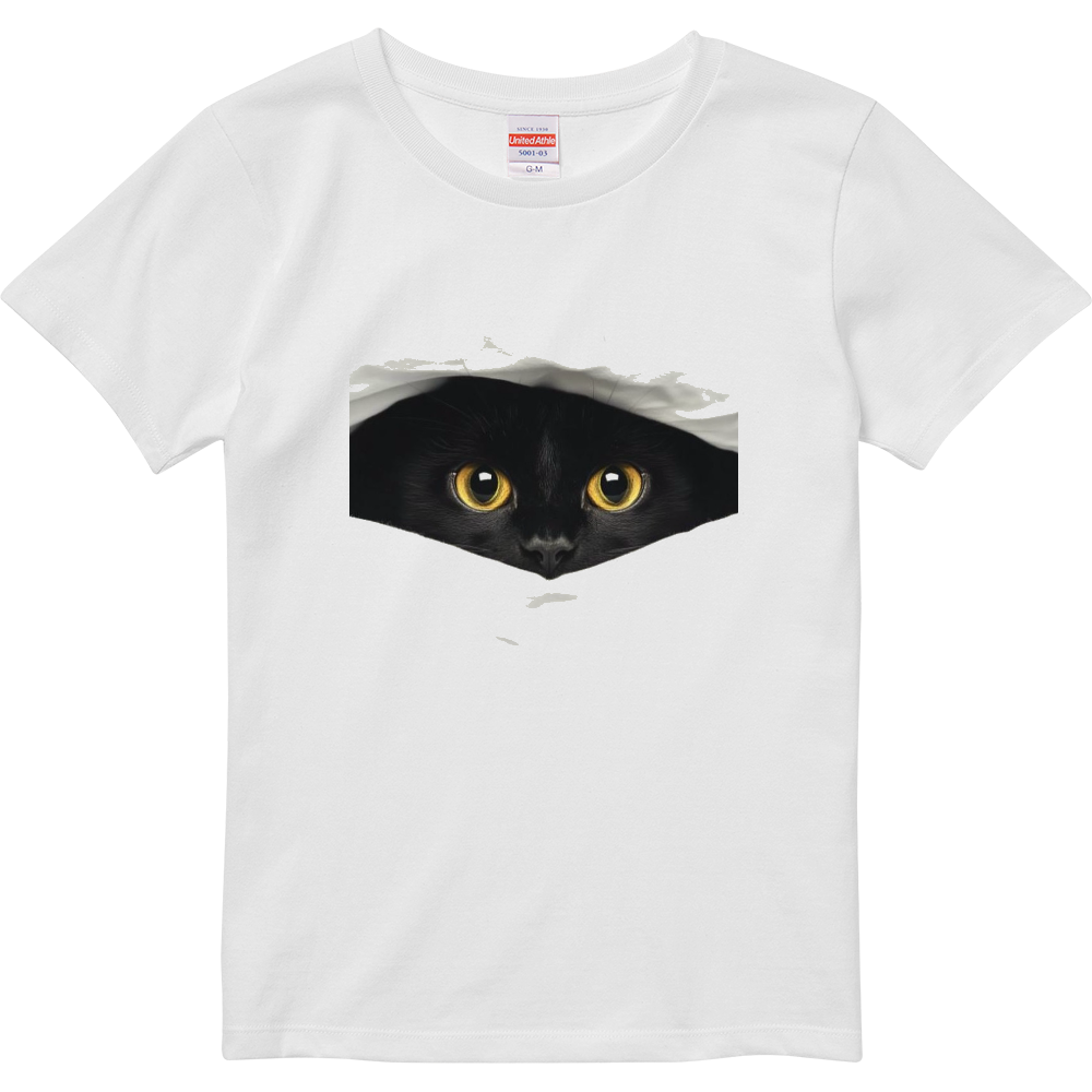 Cat's Eye  キャッツ・アイ