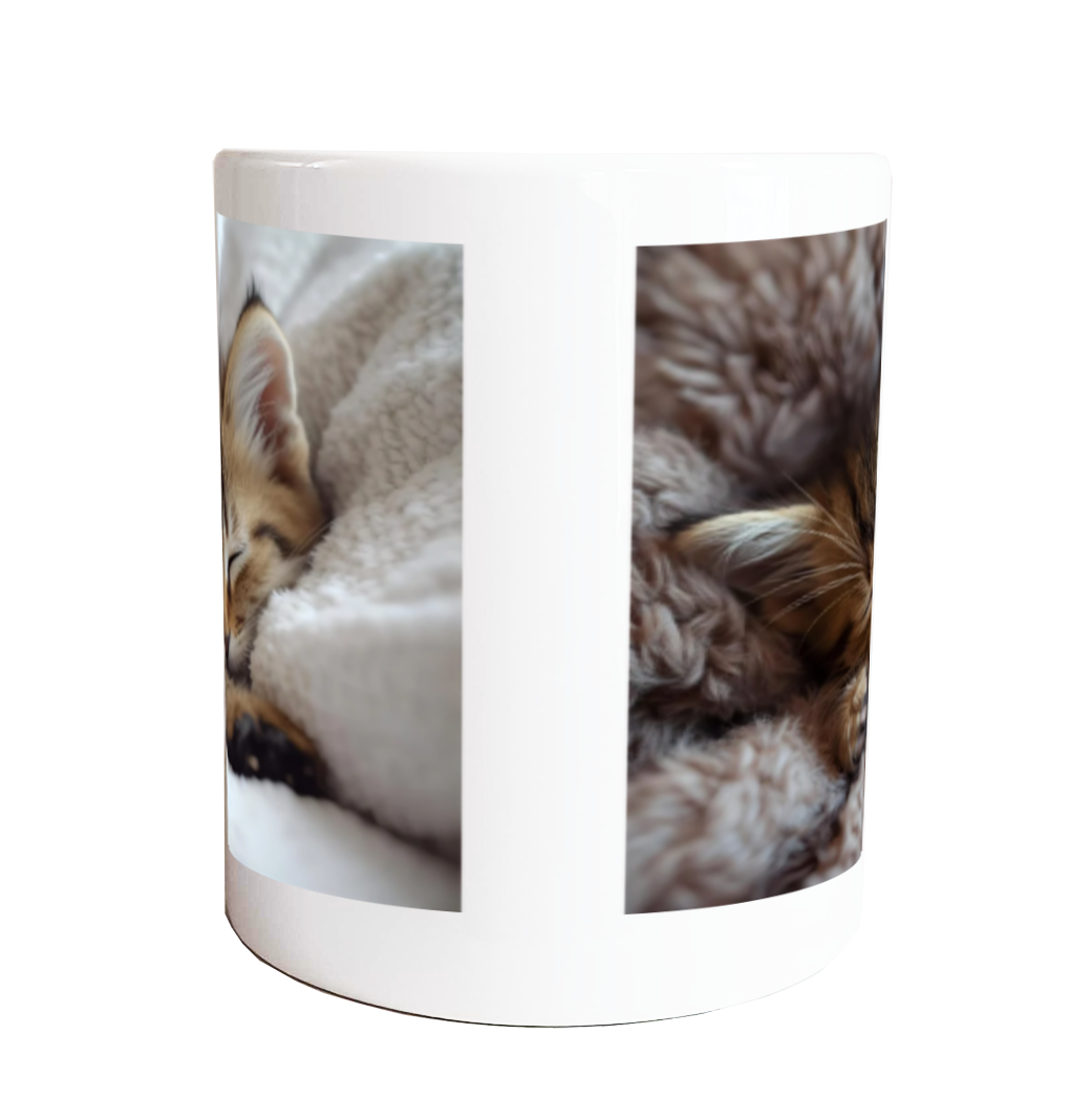 【子猫と子猫】