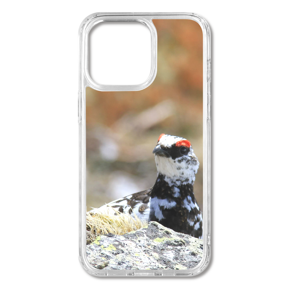 TheJAPAN24 雷鳥 sq-ip-emd-0025 iPhone15ProMax MagSafe対応 耐衝撃クリアケース