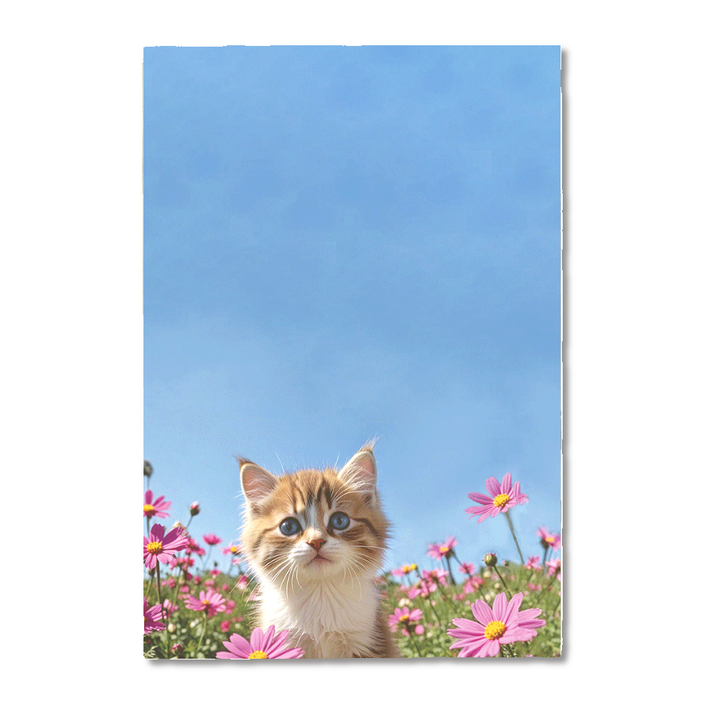 秋空の下の猫とコスモス♡御朱印帳(両面印刷)