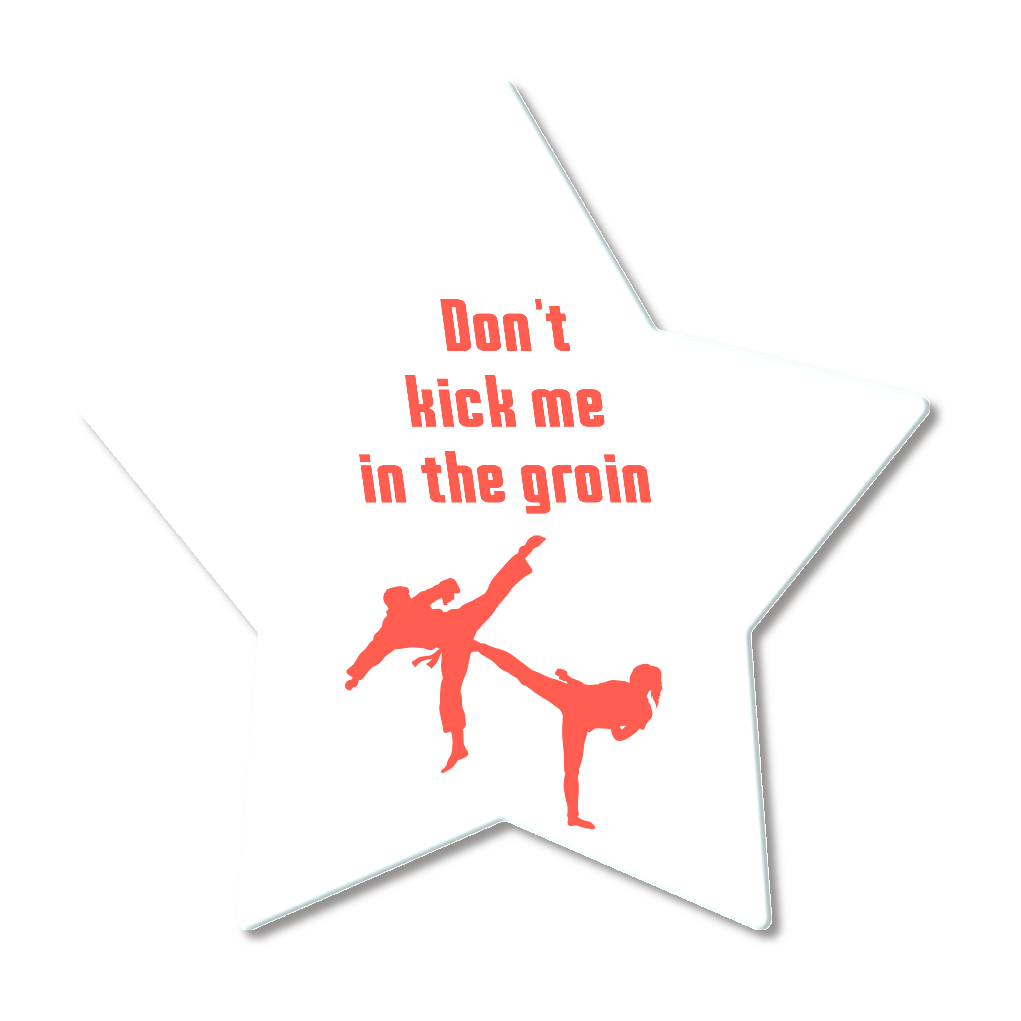 Don't kick me in the groinコースター