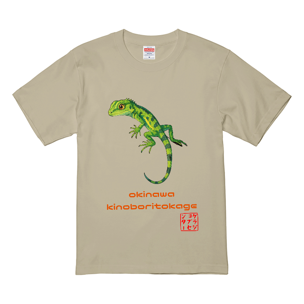 オキナワキノボリトカゲ