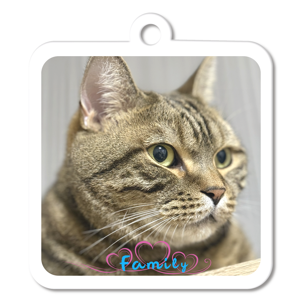 愛ネコ対応♪うちの子自慢 - 猫アクリルキーホルダー