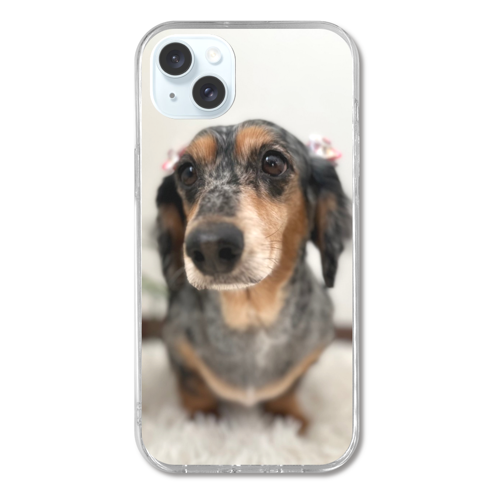 iPhone15plusケース