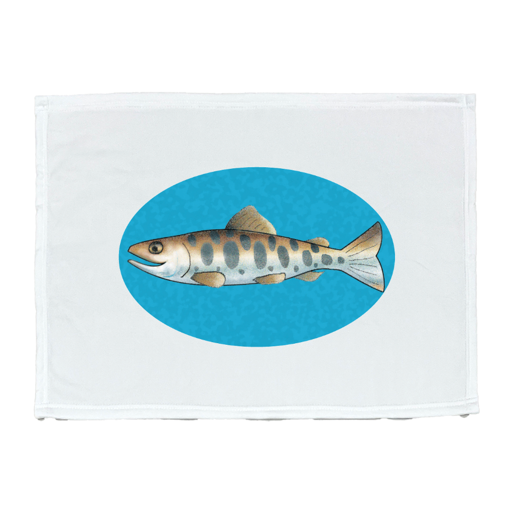 ヤマメのブランケット