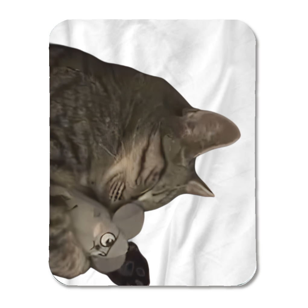 スリーピングアニマル2