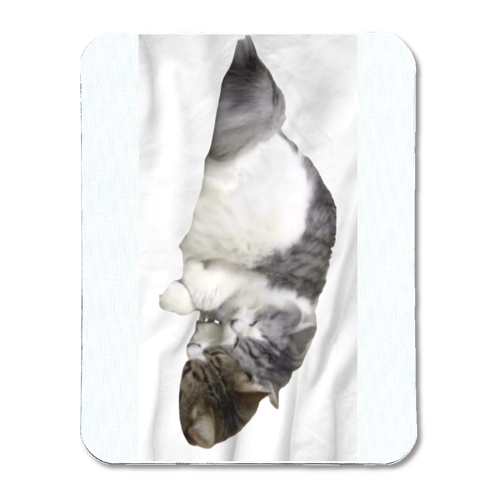 スリーピングアニマル1