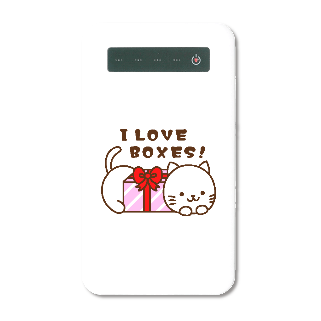 箱が好きな猫【インジケータ有りバッテリー（タイプCケーブル付属）】