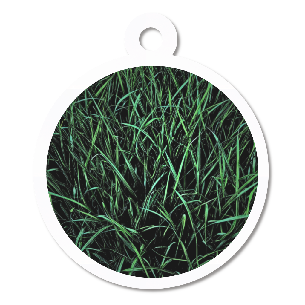 【雑草の様に強く生きる】