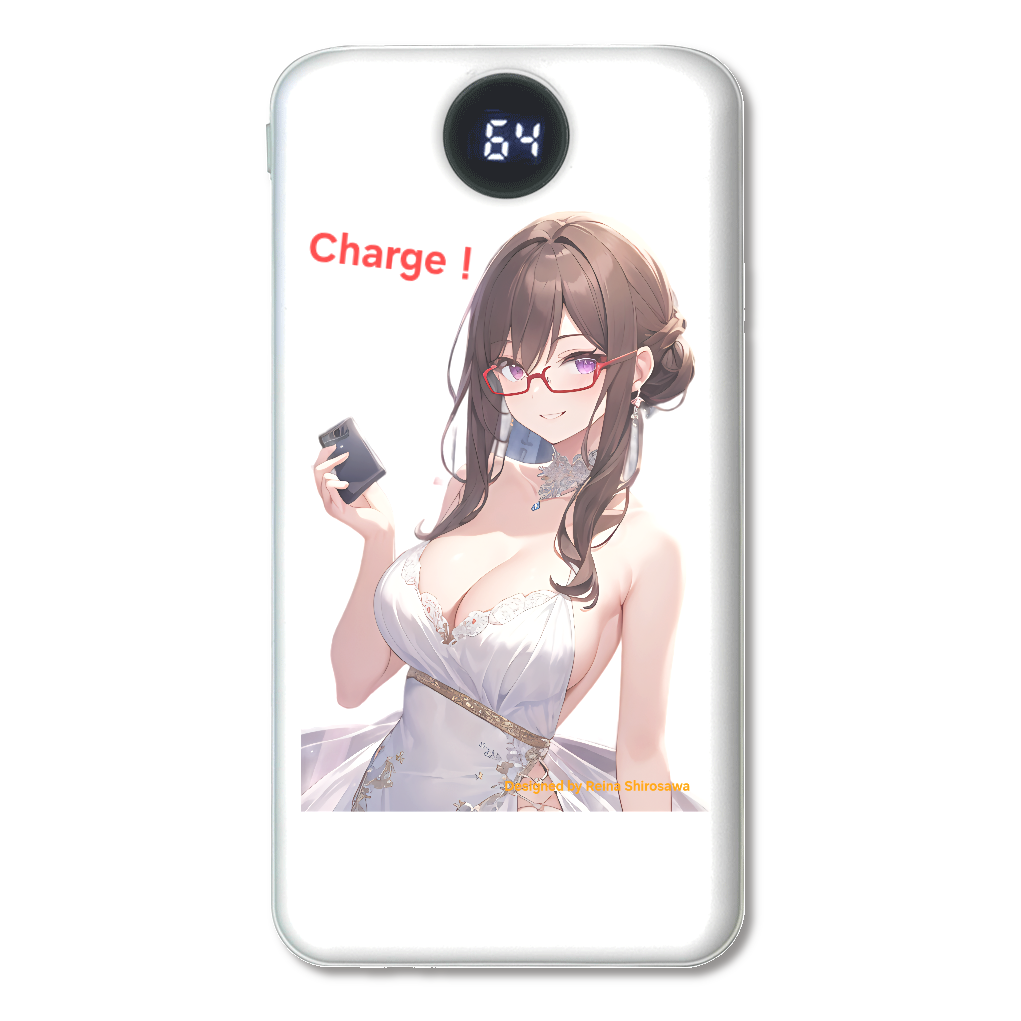 レイナ 充電…大丈夫？