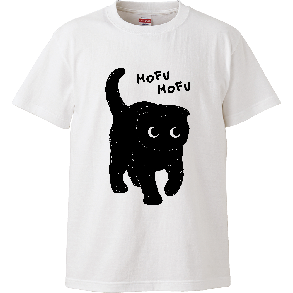 モフモフな子猫くん（スコティッシュフォールド）