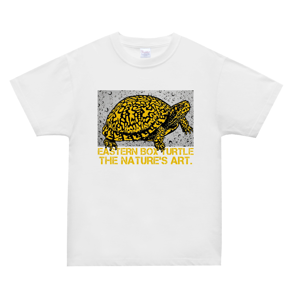 Eastern Box Turtle / トウブハコガメ グラフィックTシャツ