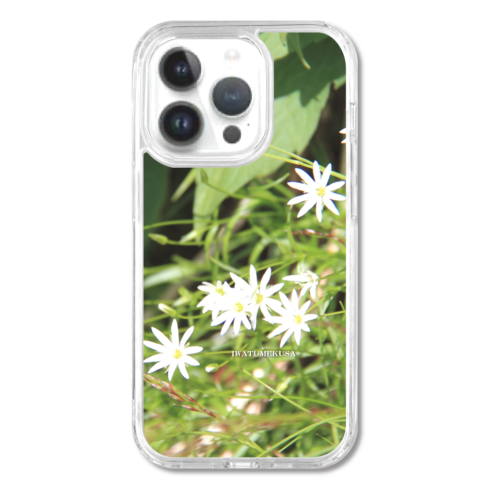 TheJAPAN33 イワツメクサ 岩爪草 sq-ip-emd-0034 iPhone14Pro MagSafe対応 耐衝撃クリアケース