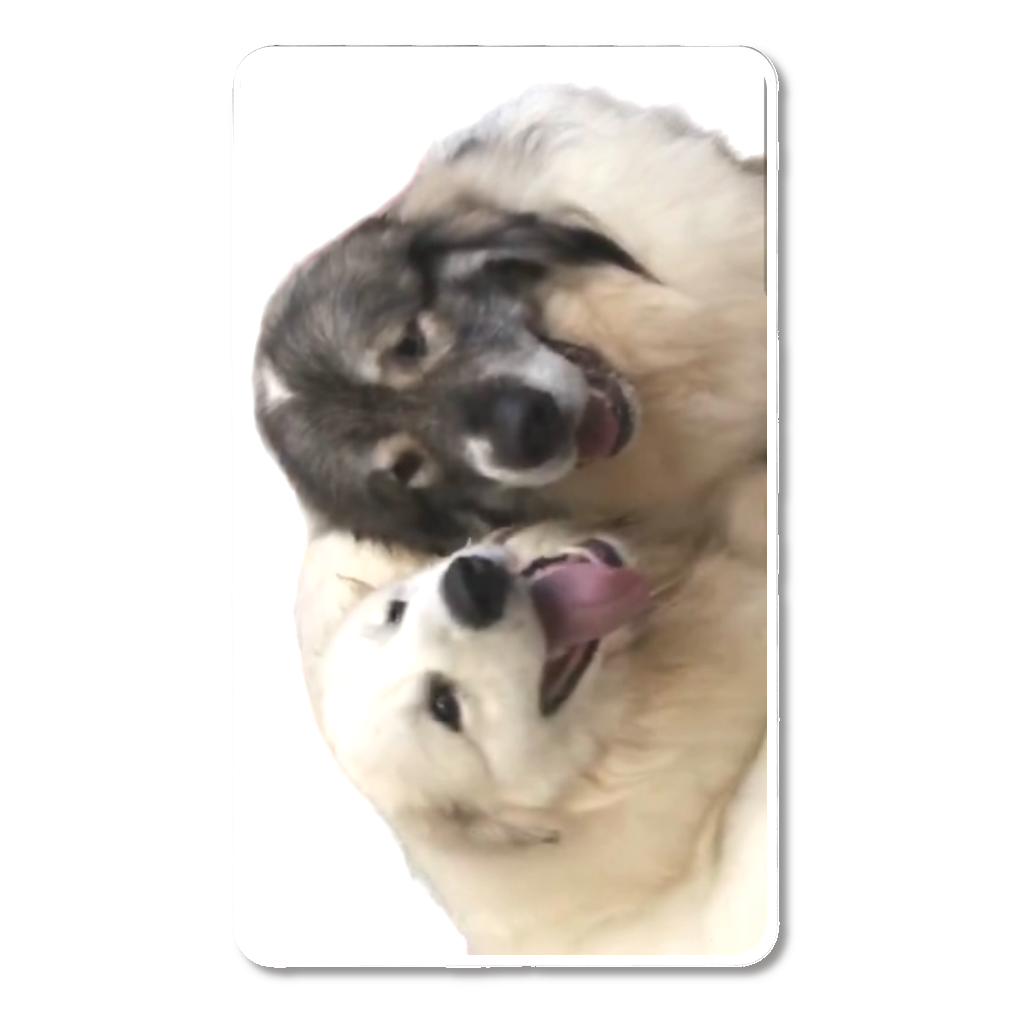 チビターズ急速モバイルバッテリー