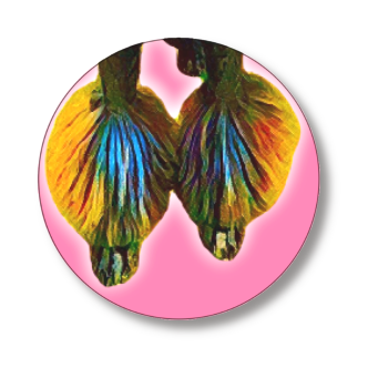 缶バッジ大(直径75㎜)2