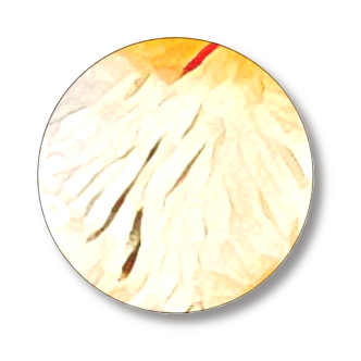 缶バッジ大(直径75㎜)1