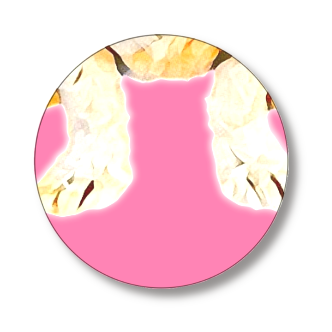 缶バッジ大(直径75㎜)2