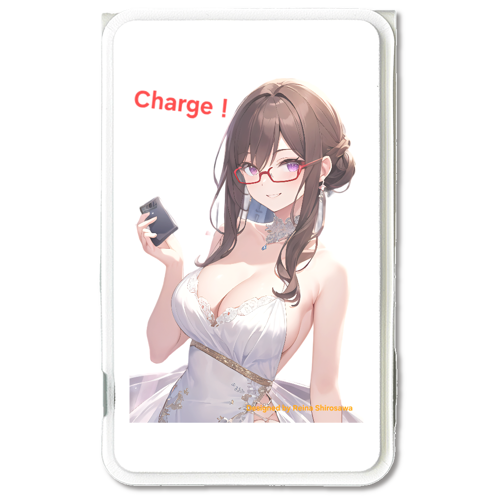 レイナ 充電…大丈夫？