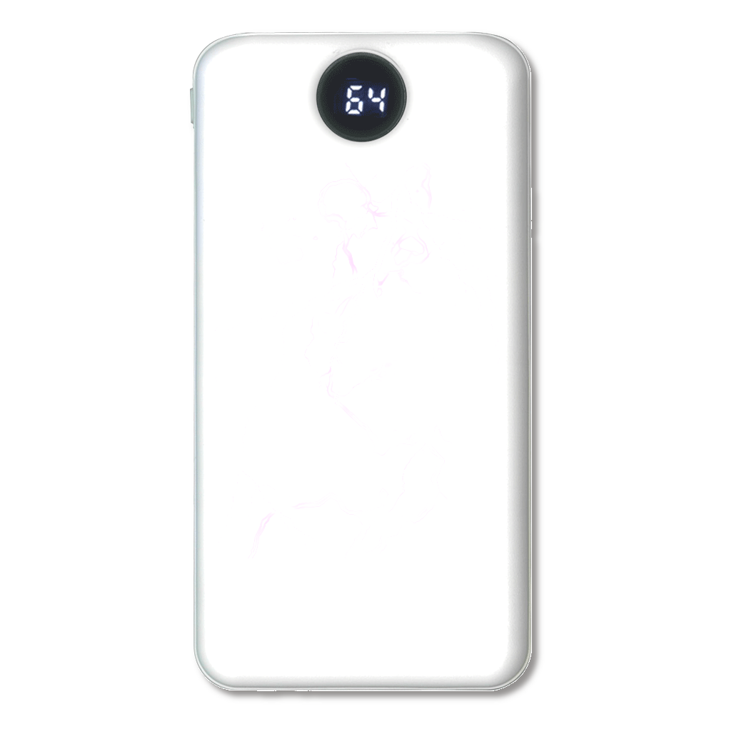 S/D THUNDER モバイルチャージャー10000 スムーズ