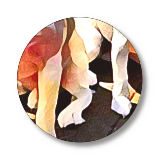 缶バッジ(直径75㎜)