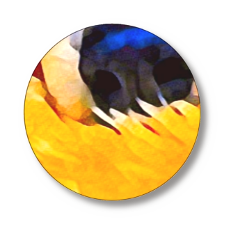 缶バッジ(直径75㎜)