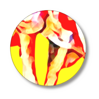 缶バッジ(直径75㎜)