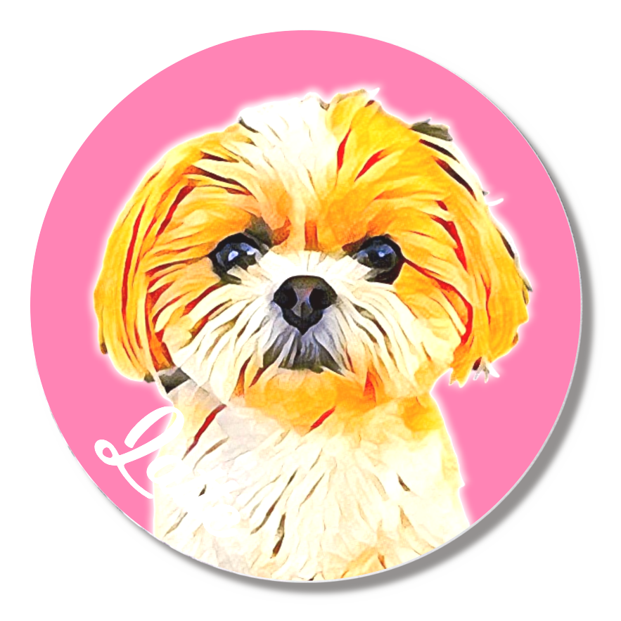 缶バッジ小(直径44㎜)1