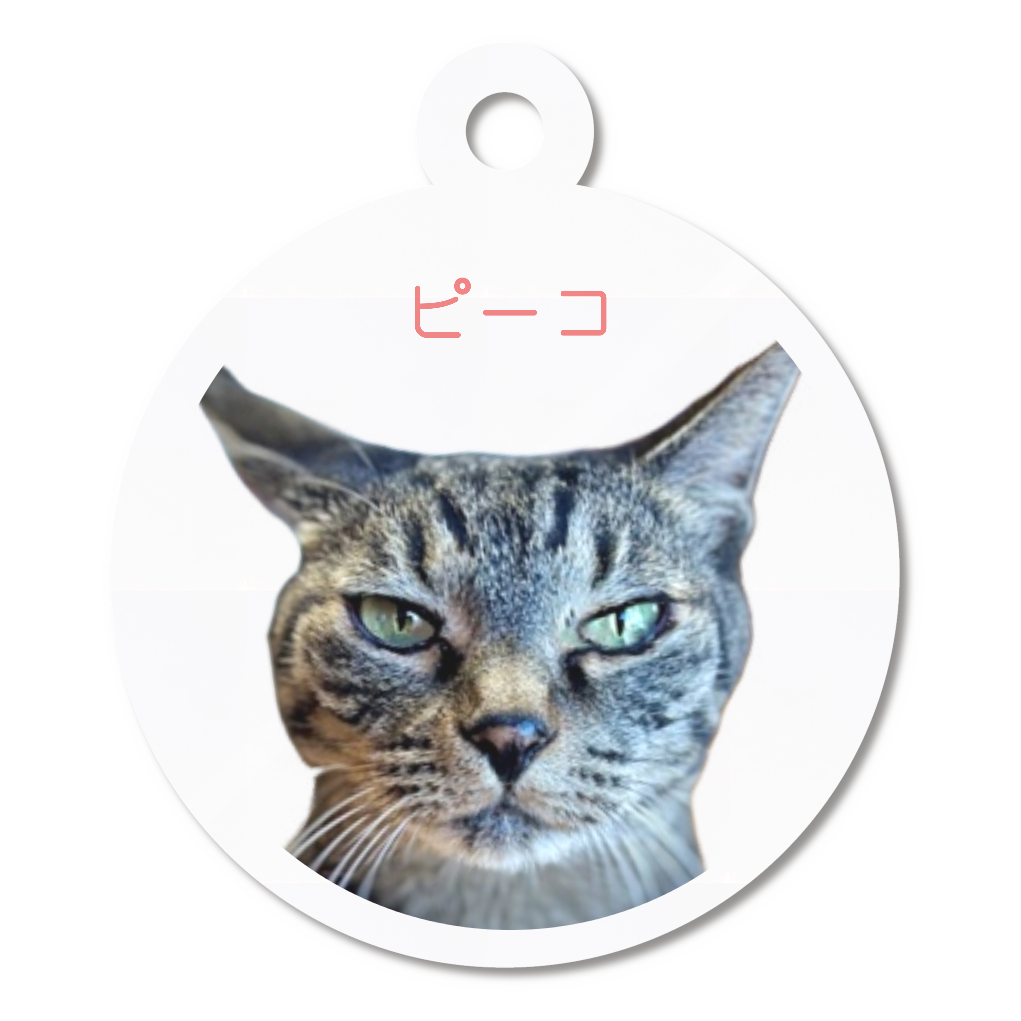 アクリルキーホルダー【ピーコ】