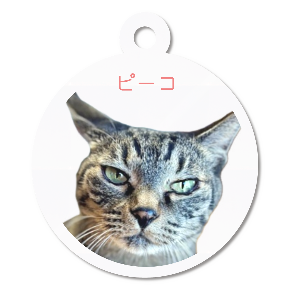 アクリルキーホルダー【ピーコ】