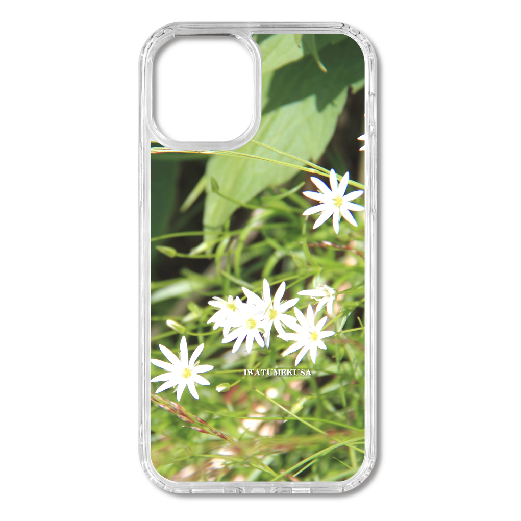 TheJAPAN33 イワツメクサ 岩爪草 sq-ip-emd-0034 iPhone12/12Pro MagSafe対応 耐衝撃クリアケース