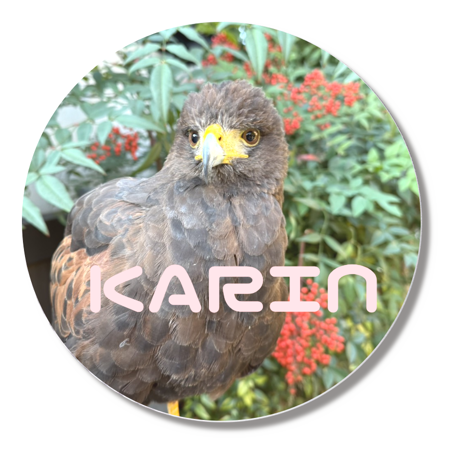 桃鷹BASEオリジナル 缶バッジS