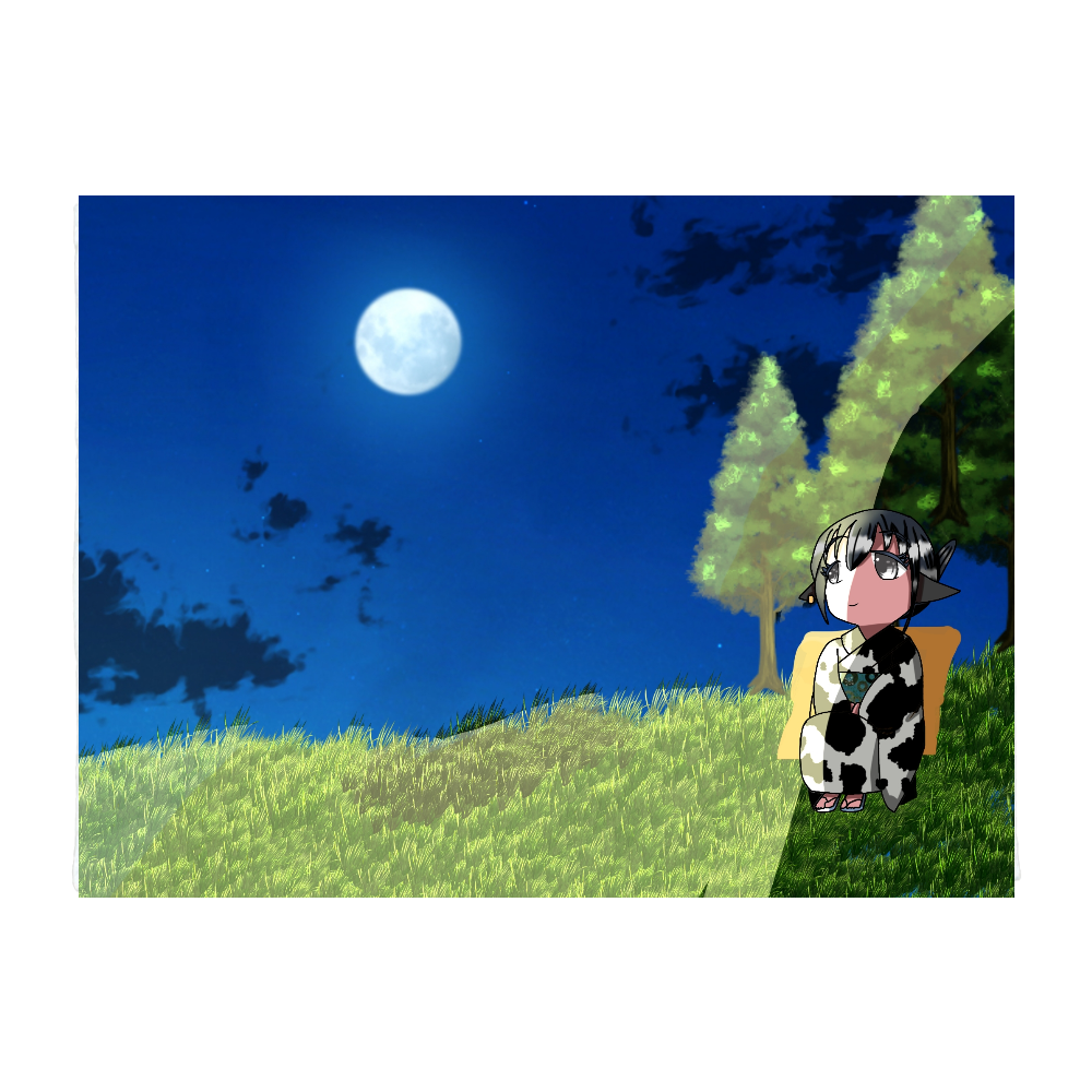 ミニカウナブランケット