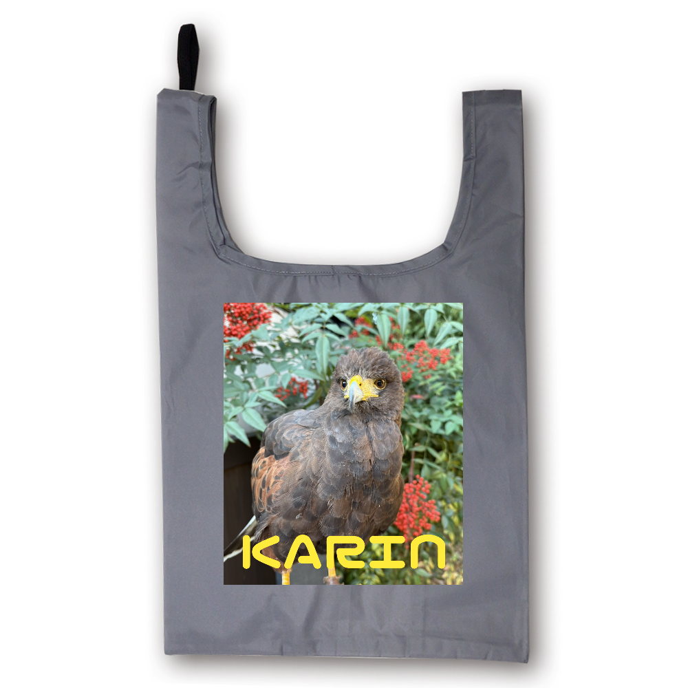 桃鷹BASEオリジナル エコバッグ