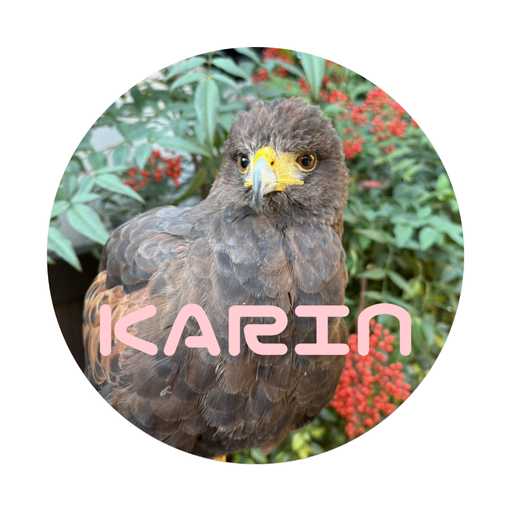 桃鷹BASEオリジナル 缶バッジL