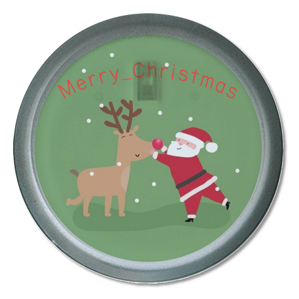 Merry Christmas ♪サンタとトナカイのプレゼント