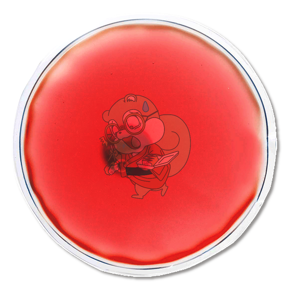 もりの ちびっこ みならい へいし 丙 エコカイロ