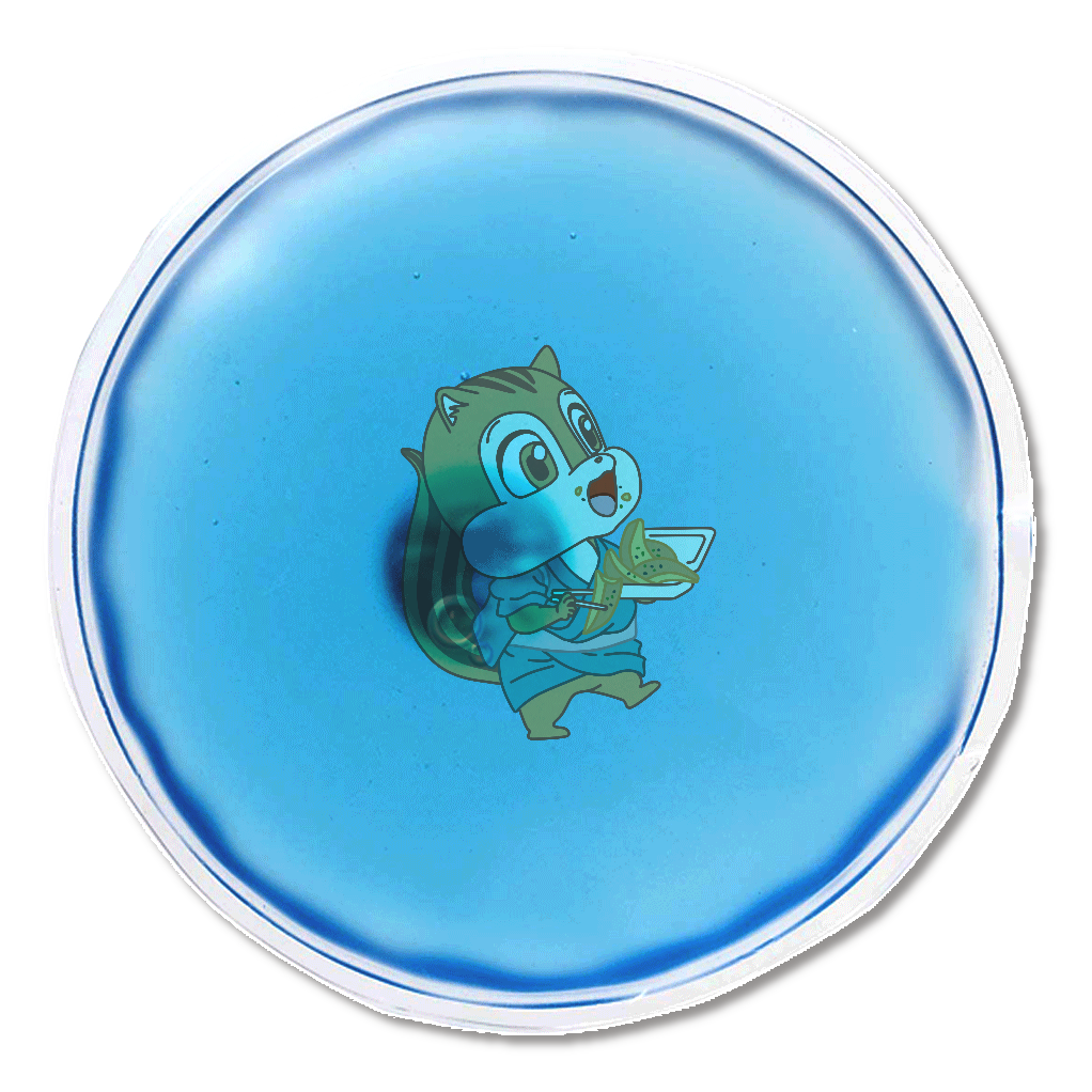 もりの ちびっこ みならい へいし 甲 エコカイロ