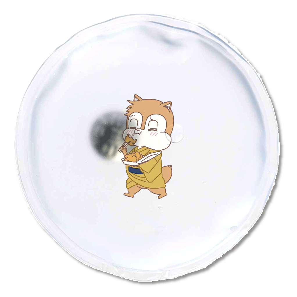 もりの ちびっこ みならい へいし 乙 エコカイロ