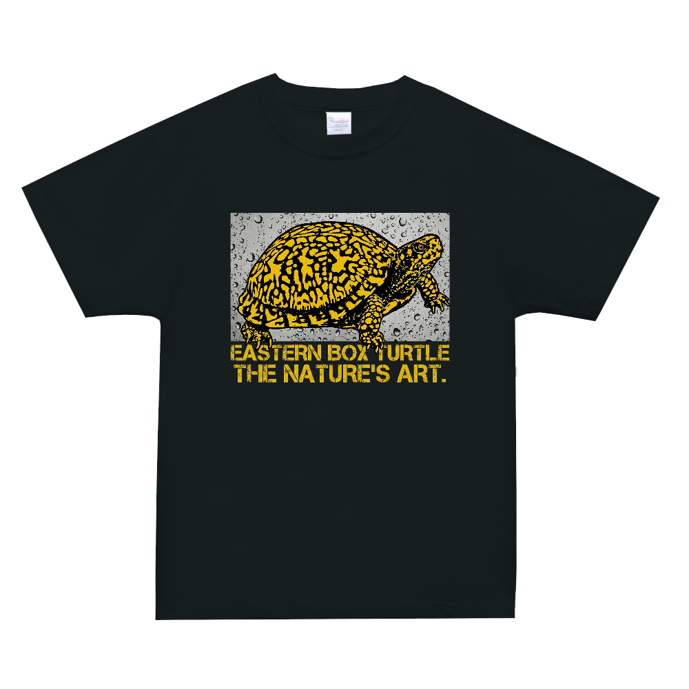 Eastern Box Turtle / トウブハコガメ グラフィックTシャツ