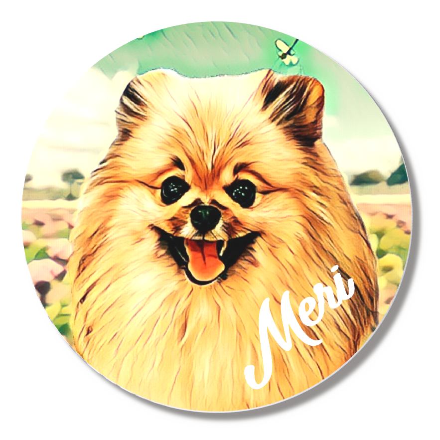 缶バッジ小(直径44㎜)9