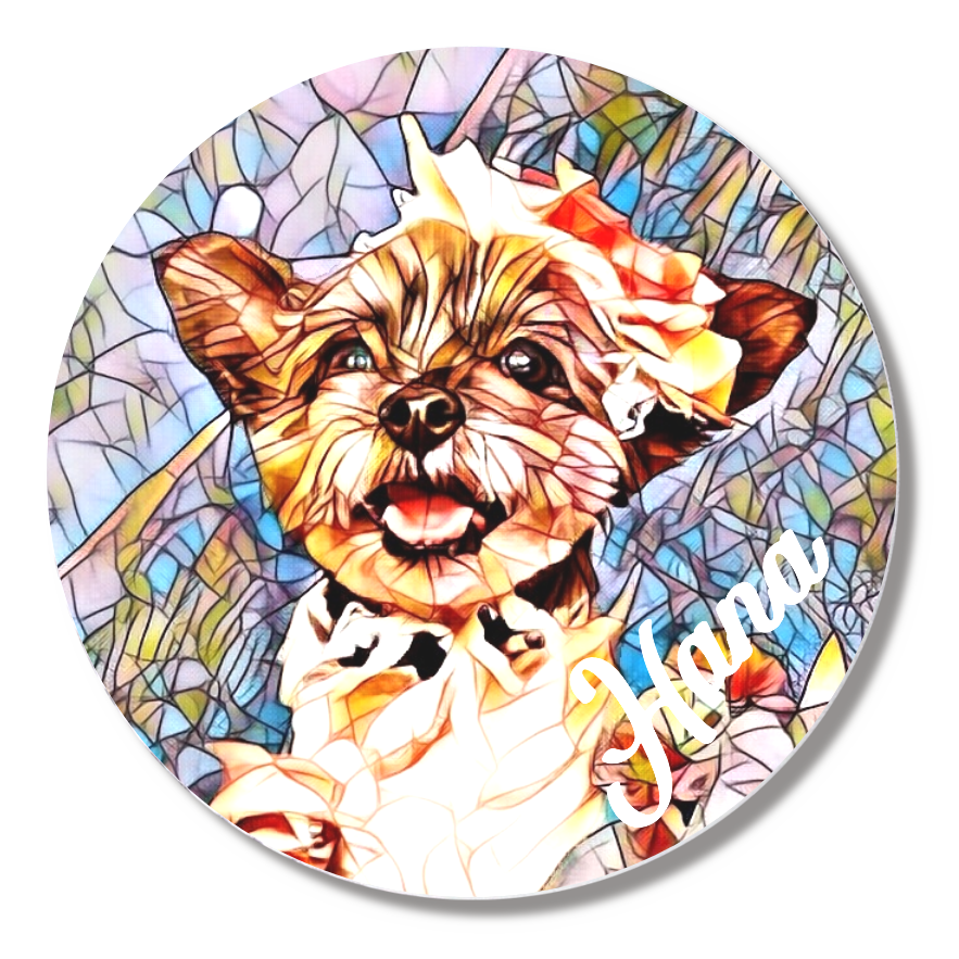 缶バッジ小(直径44㎜)8