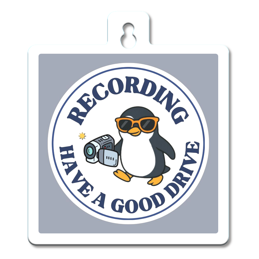 カーステッカー/ドライブレコーダー搭載デザイン