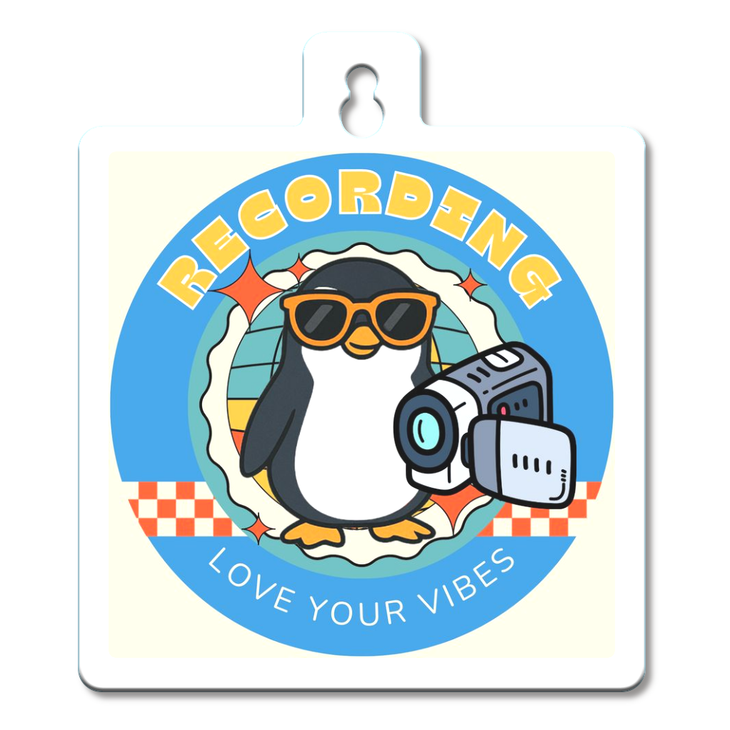 カーステッカー/ドライブレコーダー搭載デザイン