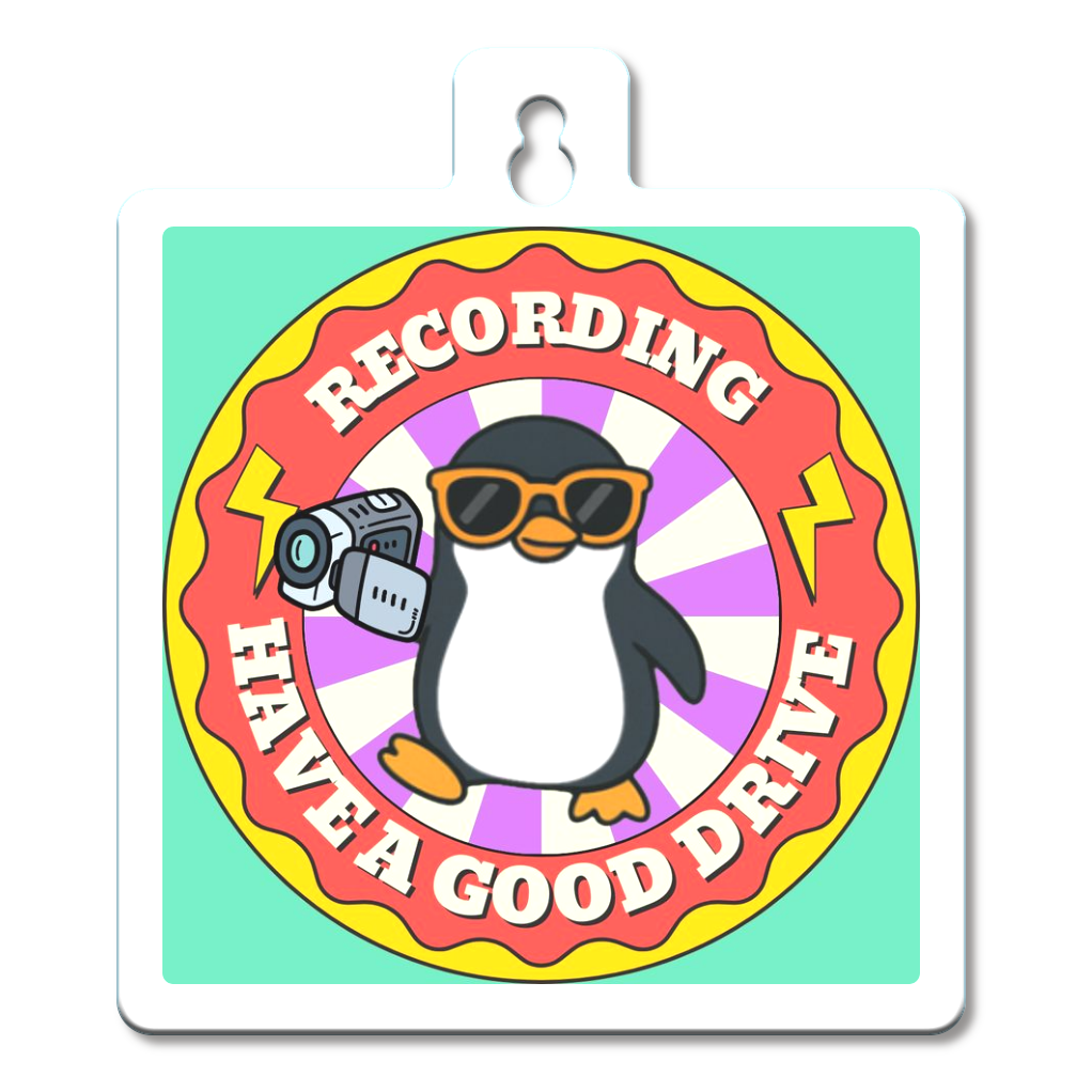 カーステッカー/ドライブレコーダー搭載デザイン