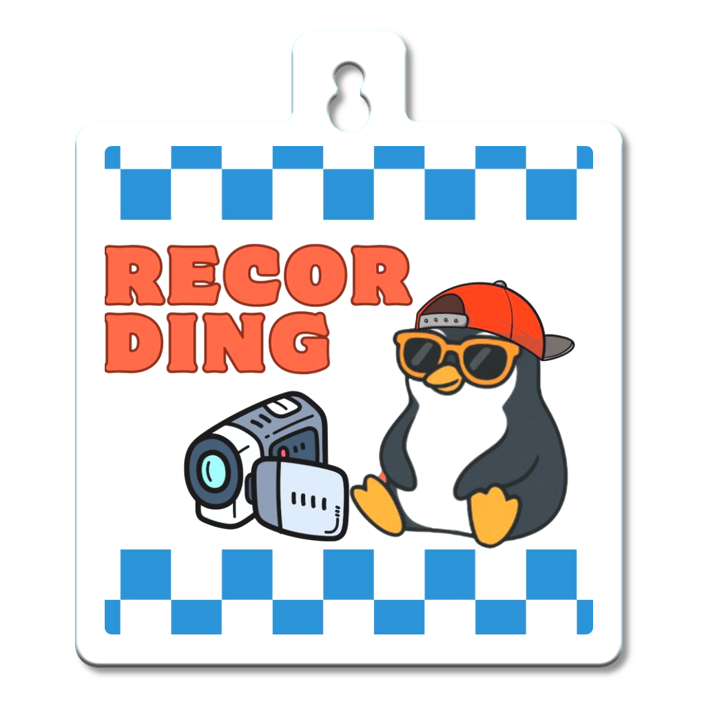 カーステッカー/ドライブレコーダー搭載デザイン