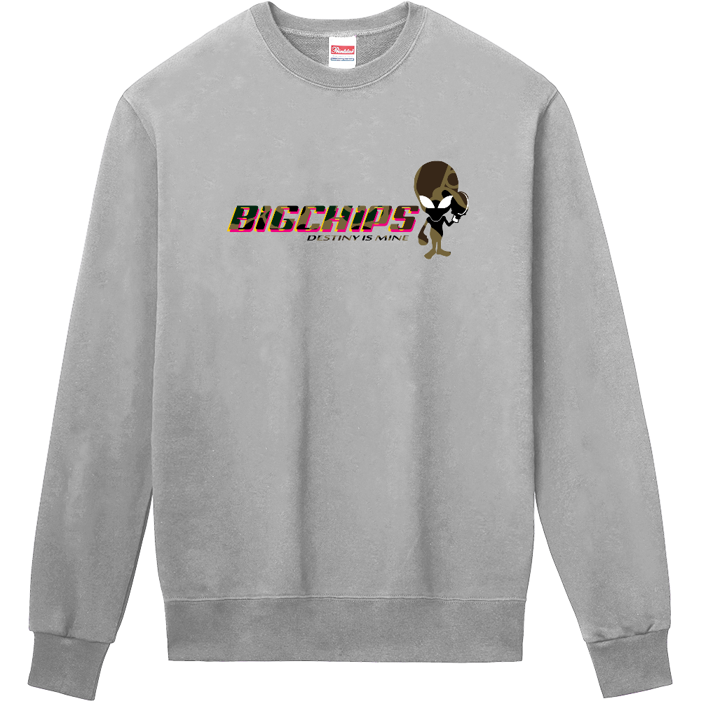 トレーナー BIGCHIPS021 Alien001 b✓迷彩 緑カモフラ トレーナー色変更OK