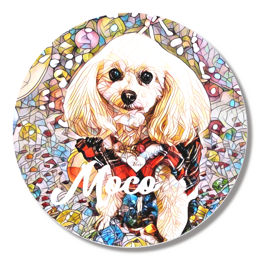 缶バッジ小(直径44㎜)6