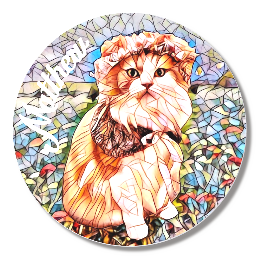 缶バッジ小(直径44㎜)5