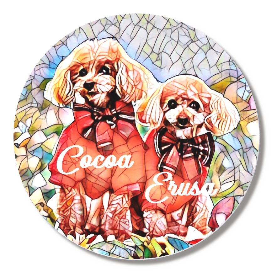 缶バッジ小(直径44㎜)3