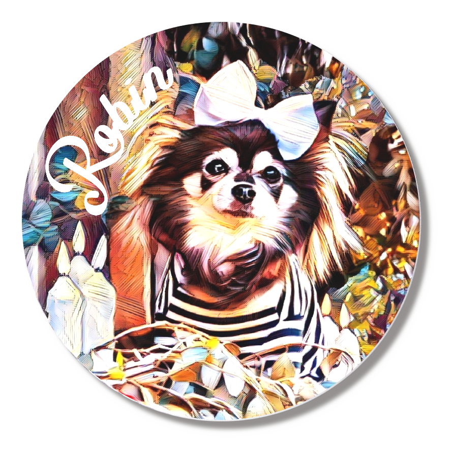 缶バッジ小(直径44㎜)2